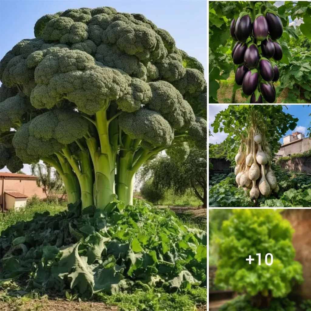 The Bountiful Wonders of Ground-Growing Fruits and Vegetables in the Americas